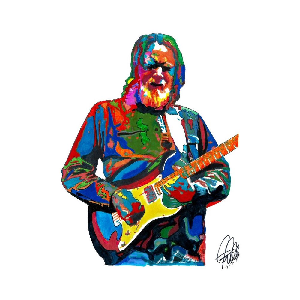 Jimmy Herring Widespread Panic Guitar Rock Music Poster Print Wall Art 11x17